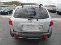 Pewter Gray - Santa Fe GLS 4WD Photo No. 9
