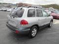 Pewter Gray - Santa Fe GLS 4WD Photo No. 10