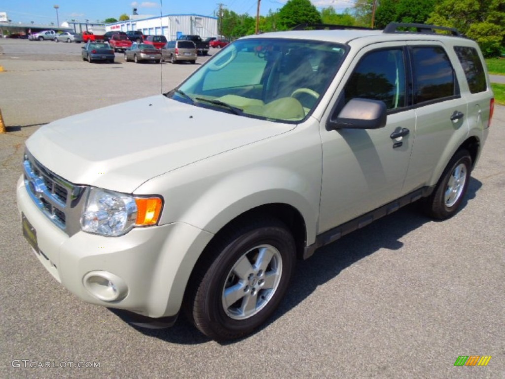 2009 Escape XLT V6 4WD - Light Sage Metallic / Camel photo #1