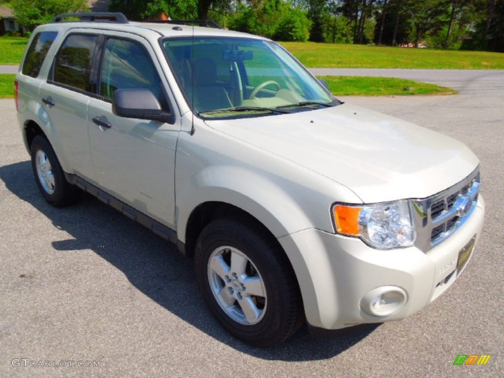 2009 Escape XLT V6 4WD - Light Sage Metallic / Camel photo #2