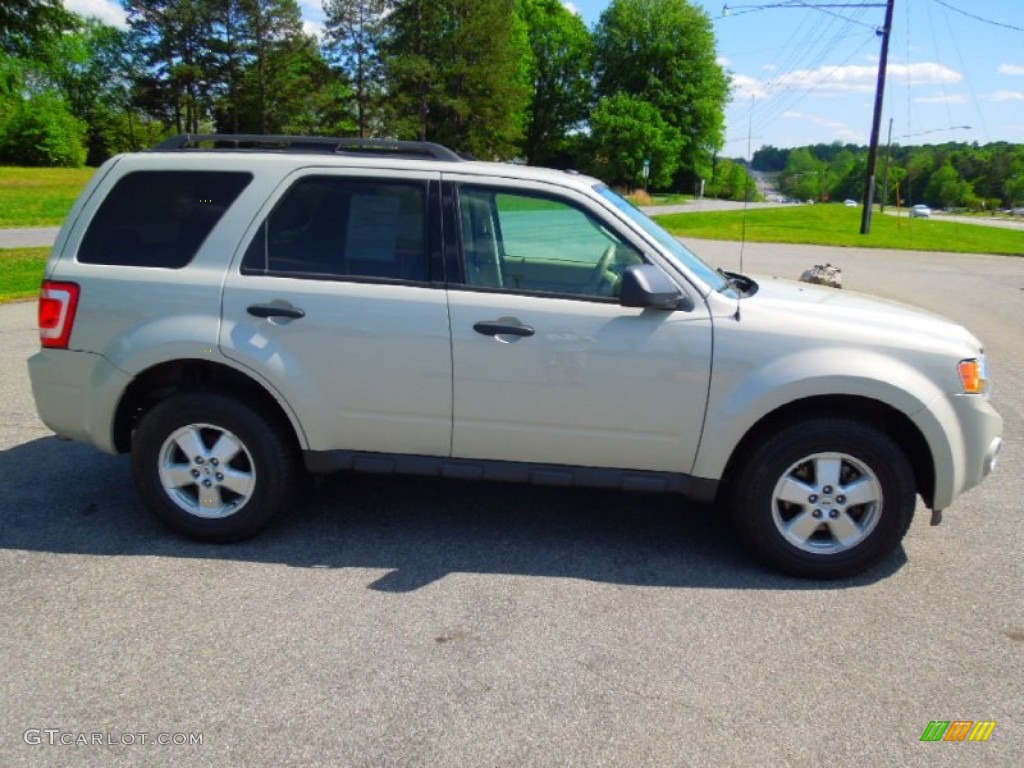 2009 Escape XLT V6 4WD - Light Sage Metallic / Camel photo #3