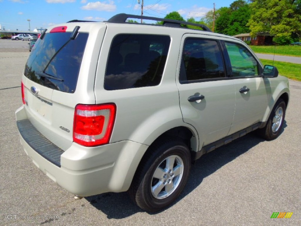 2009 Escape XLT V6 4WD - Light Sage Metallic / Camel photo #6