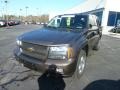 Desert Brown Metallic - TrailBlazer LT 4x4 Photo No. 7