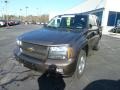 2008 Desert Brown Metallic Chevrolet TrailBlazer LT 4x4  photo #7