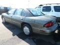 Granite Metallic - Lumina  Photo No. 5
