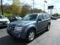 2010 Steel Blue Metallic Ford Escape XLT V6 4WD  photo #1