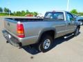 Light Pewter Metallic - Silverado 2500 LS Regular Cab Photo No. 6