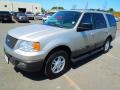 2005 Silver Birch Metallic Ford Expedition XLT 4x4  photo #1