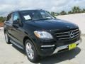 Black - ML 350 4Matic Photo No. 1