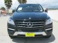 Black - ML 350 4Matic Photo No. 9