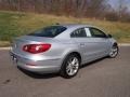 Reflex Silver Metallic - CC Luxury Photo No. 4