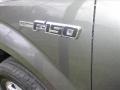 2009 Sterling Grey Metallic Ford F150 XLT SuperCrew 4x4  photo #4