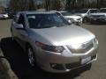 Palladium Metallic - TSX Sedan Photo No. 3