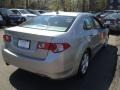 Palladium Metallic - TSX Sedan Photo No. 8