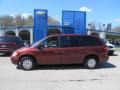 2007 Cognac Crystal Pearl Chrysler Town & Country LX  photo #2