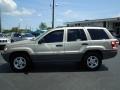 Champagne Pearlcoat - Grand Cherokee Laredo Photo No. 6