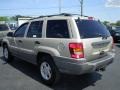 Champagne Pearlcoat - Grand Cherokee Laredo Photo No. 7