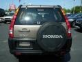 Mojave Mist Metallic - CR-V LX Photo No. 8