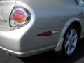 Sunlit Sand Metallic - Maxima SE Photo No. 10