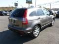 2009 Urban Titanium Metallic Honda CR-V EX-L 4WD  photo #7