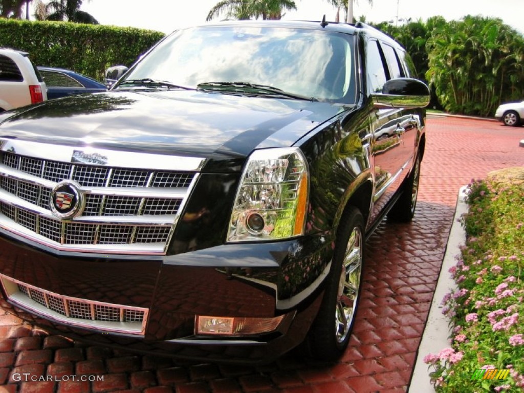 2008 Escalade ESV Platinum AWD - Black Raven / Cocoa/Very Light Linen photo #10