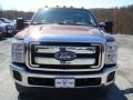Golden Bronze Metallic - F250 Super Duty XLT Regular Cab 4x4 Photo No. 3