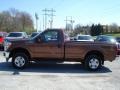 2011 Golden Bronze Metallic Ford F250 Super Duty XLT Regular Cab 4x4  photo #5