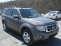 2012 Sterling Gray Metallic Ford Escape XLT V6 4WD  photo #2