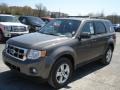 2012 Sterling Gray Metallic Ford Escape XLT V6 4WD  photo #4