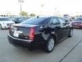 Black Raven - CTS 3.0 Sedan Photo No. 3