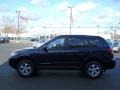 2008 Deepwater Blue Hyundai Santa Fe GLS  photo #12