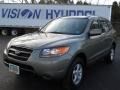 Platinum Sage - Santa Fe GLS 4WD Photo No. 1