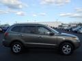Platinum Sage - Santa Fe GLS 4WD Photo No. 20