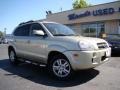 2006 Sahara Silver Hyundai Tucson Limited  photo #60