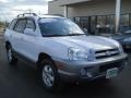 Nordic White - Santa Fe GLS 3.5 4WD Photo No. 13