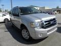 Ingot Silver Metallic - Expedition XLT Photo No. 1
