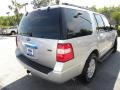 Ingot Silver Metallic - Expedition XLT Photo No. 16