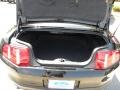 Black - Mustang V6 Premium Convertible Photo No. 10