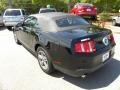 Black - Mustang V6 Premium Convertible Photo No. 11