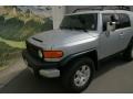 Titanium Metallic - FJ Cruiser 4WD Photo No. 27