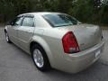 Linen Gold Metallic - 300 Touring Photo No. 3