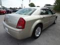 Linen Gold Metallic - 300 Touring Photo No. 8
