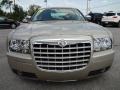 Linen Gold Metallic - 300 Touring Photo No. 13