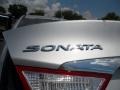 Radiant Silver - Sonata GLS Photo No. 15