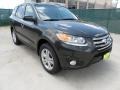 Black Forest Green 2012 Hyundai Santa Fe SE V6