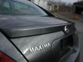 Smoke Metallic - Maxima 3.5 SE Photo No. 23