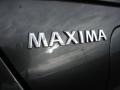 Smoke Metallic - Maxima 3.5 SE Photo No. 24