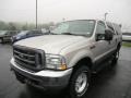 Silver Birch Metallic 2003 Ford Excursion XLT 4x4 Exterior