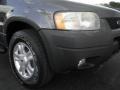 Dark Shadow Grey Metallic - Escape XLT V6 Photo No. 2