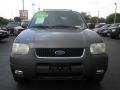 Dark Shadow Grey Metallic - Escape XLT V6 Photo No. 3